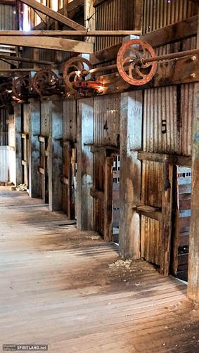 Shearing Shed, SA. 